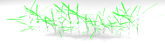 6.png